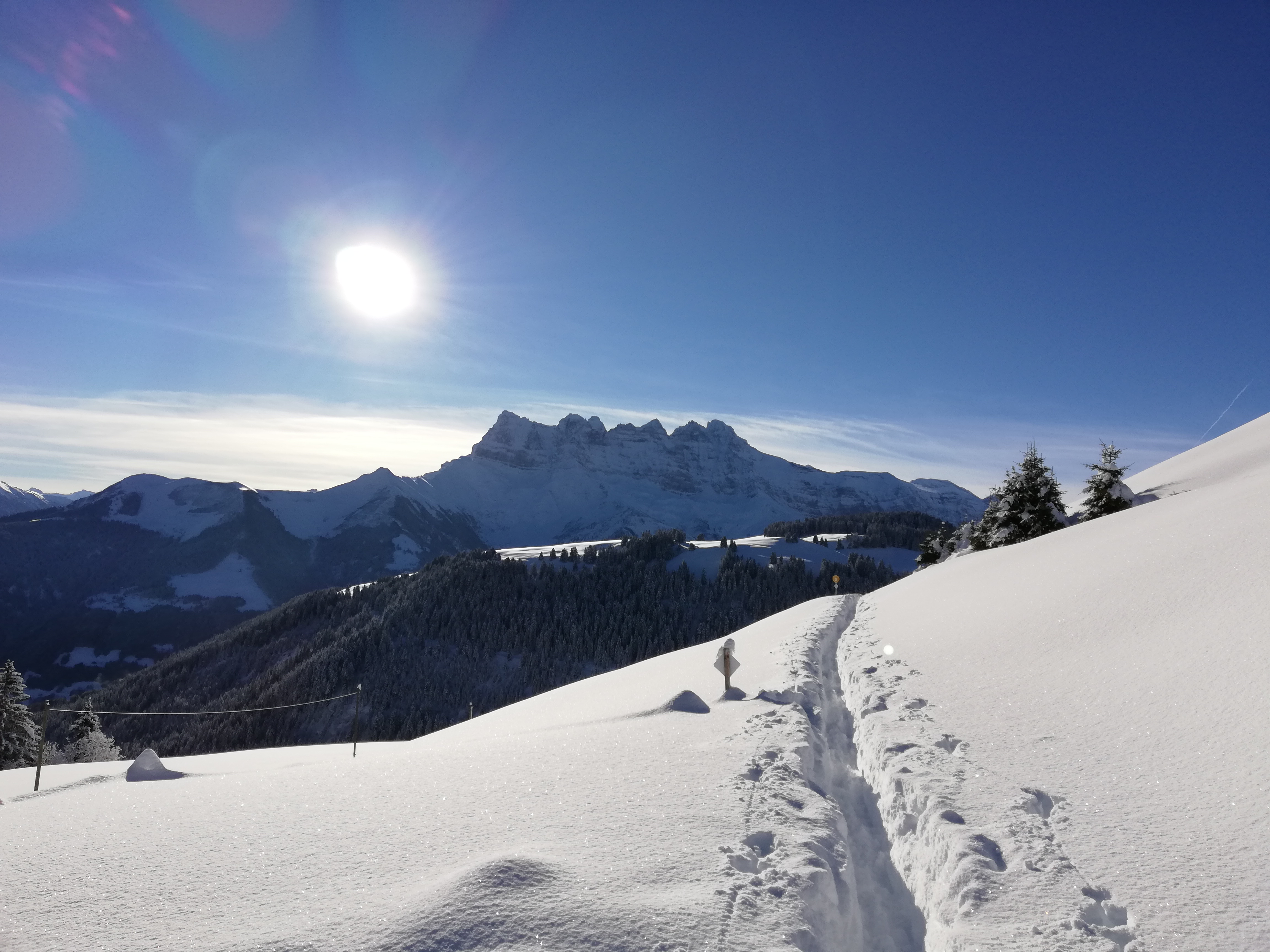 'Bellevue' Rote Piste