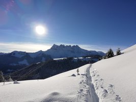 'Bellevue' Piste Rouge