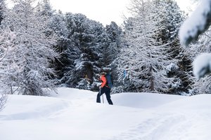 Rando Parc Marmottes