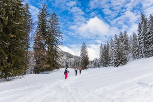 Ski de randonnée - Rathvel